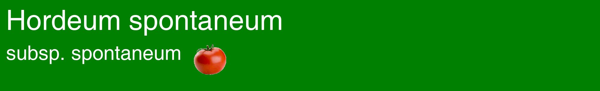 Étiquette de : Hordeum spontaneum subsp. spontaneum - format c - style blanche9basique_basique_basiquehel avec comestibilité simplifiée