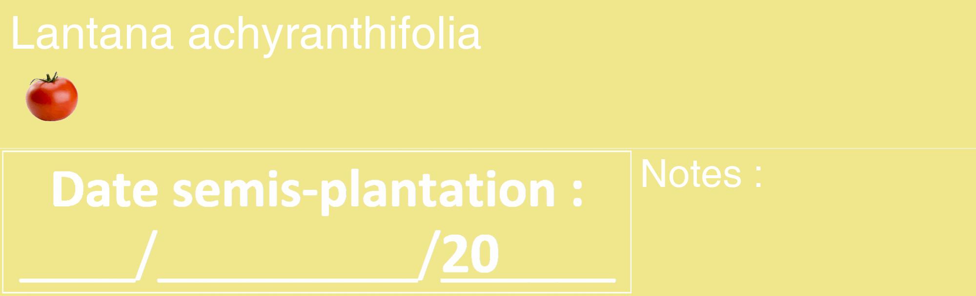 Étiquette de : Lantana achyranthifolia - format c - style blanche20_basique_basiquehel avec comestibilité simplifiée