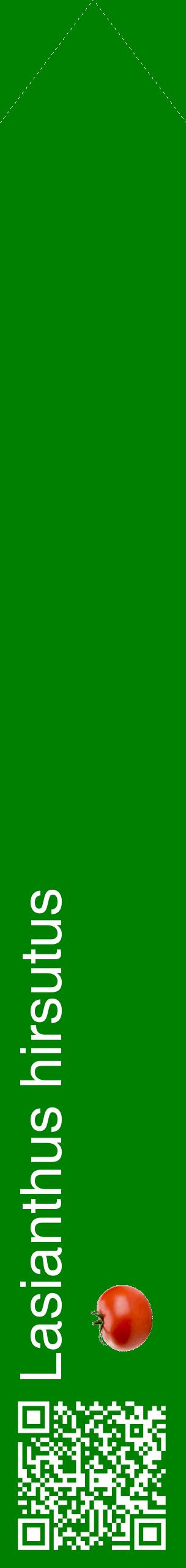 Étiquette de : Lasianthus hirsutus - format c - style blanche9_simplehel avec qrcode et comestibilité simplifiée
