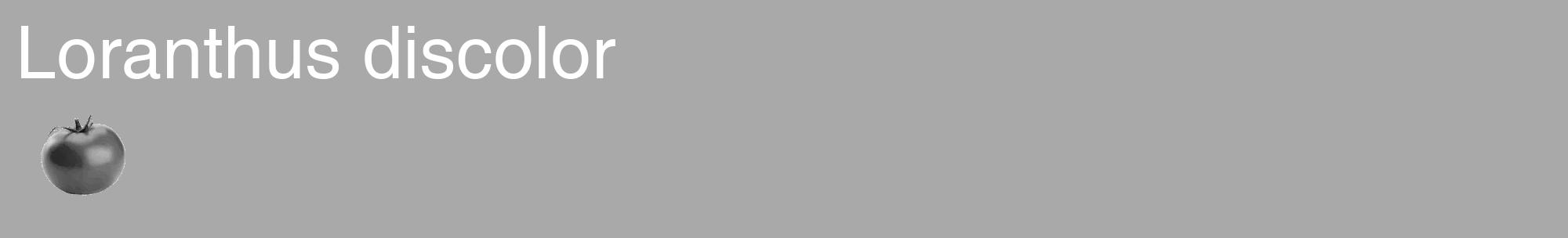Étiquette de : Loranthus discolor - format c - style blanche13_basique_basiquehel avec comestibilité simplifiée