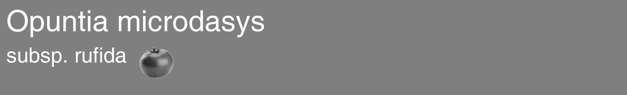 Étiquette de : Opuntia microdasys subsp. rufida - format c - style blanche57_basique_basiquehel avec comestibilité simplifiée