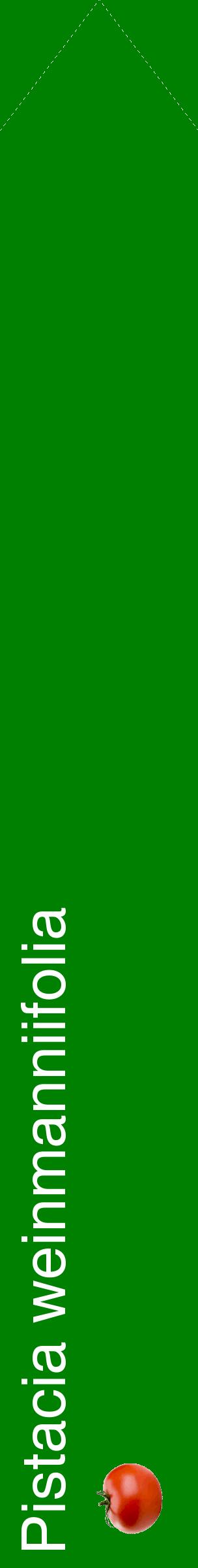 Étiquette de : Pistacia weinmanniifolia - format c - style blanche9_simplehel avec comestibilité simplifiée