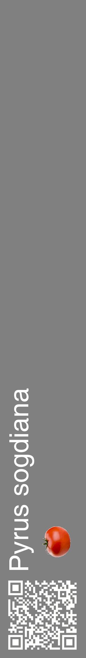 Étiquette de : Pyrus sogdiana - format c - style blanche57_basiquehel avec qrcode et comestibilité simplifiée