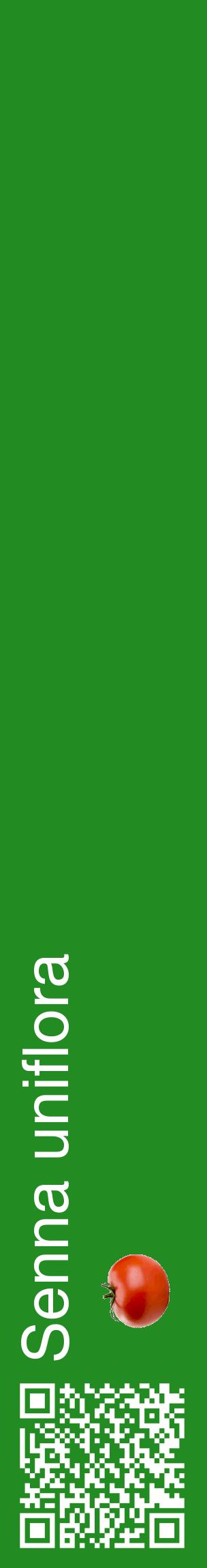 Étiquette de : Senna uniflora - format c - style blanche10_basiquehel avec qrcode et comestibilité simplifiée