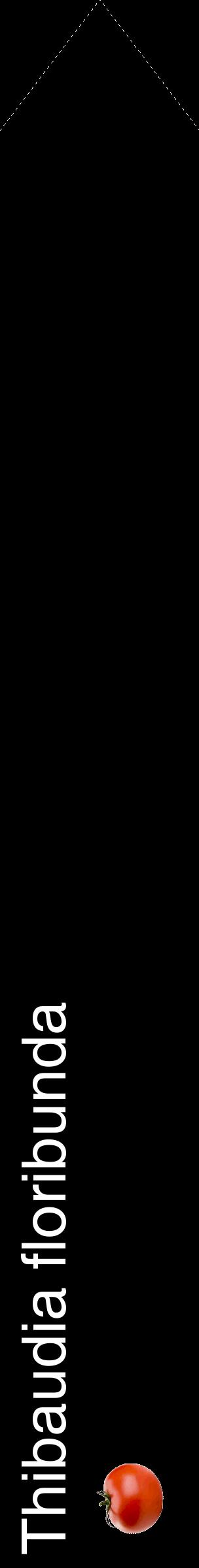 Étiquette de : Thibaudia floribunda - format c - style blanche59_simplehel avec comestibilité simplifiée