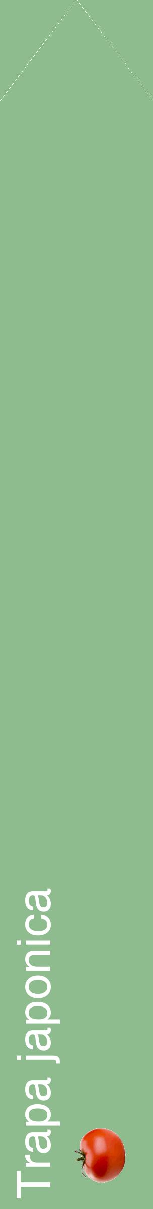 Étiquette de : Trapa japonica - format c - style blanche13_simplehel avec comestibilité simplifiée