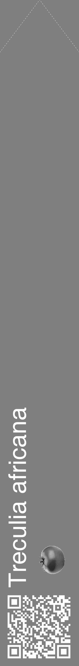 Étiquette de : Treculia africana - format c - style blanche57_simple_simplehel avec qrcode et comestibilité simplifiée - position verticale
