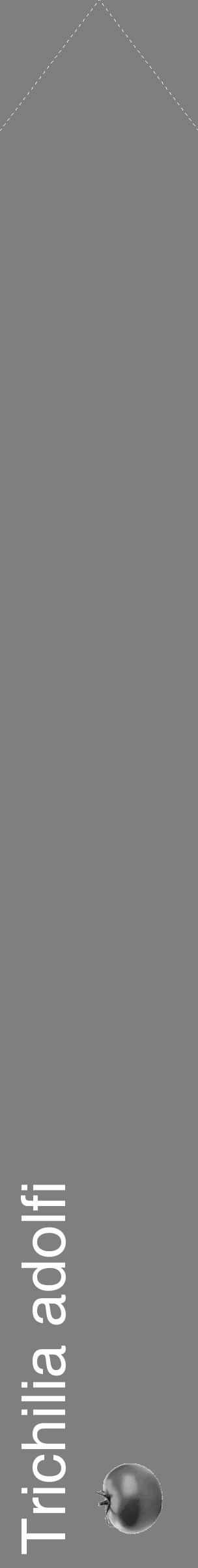 Étiquette de : Trichilia adolfi - format c - style blanche57_simple_simplehel avec comestibilité simplifiée - position verticale