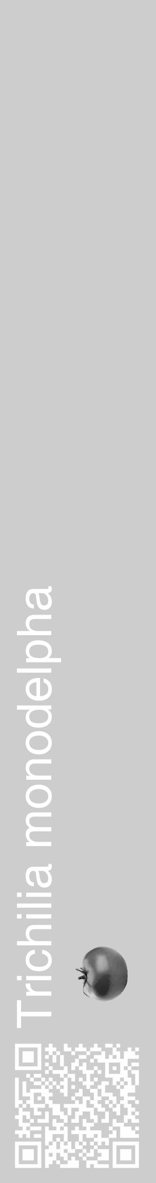 Étiquette de : Trichilia monodelpha - format c - style blanche41_basique_basiquehel avec qrcode et comestibilité simplifiée - position verticale