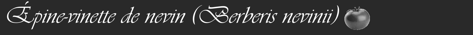 Étiquette de : Berberis nevinii - format a - style blanche34viv avec comestibilité simplifiée