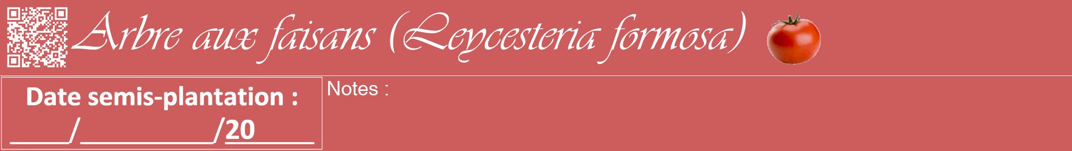 Étiquette de : Leycesteria formosa - format a - style blanche35viv avec qrcode et comestibilité simplifiée