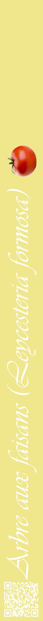 Étiquette de : Leycesteria formosa - format a - style blanche20viv avec qrcode et comestibilité simplifiée