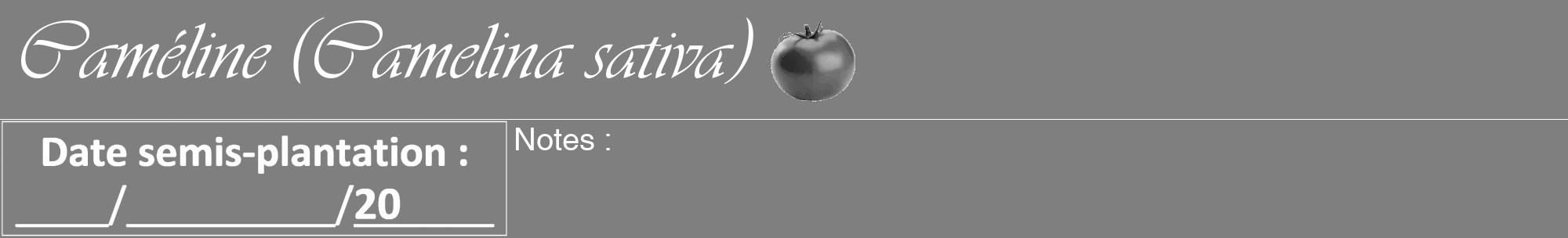 Étiquette de : Camelina sativa - format a - style blanche31viv avec comestibilité simplifiée