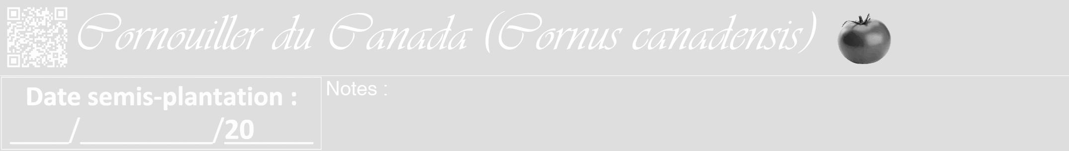 Étiquette de : Cornus canadensis - format a - style blanche20viv avec qrcode et comestibilité simplifiée