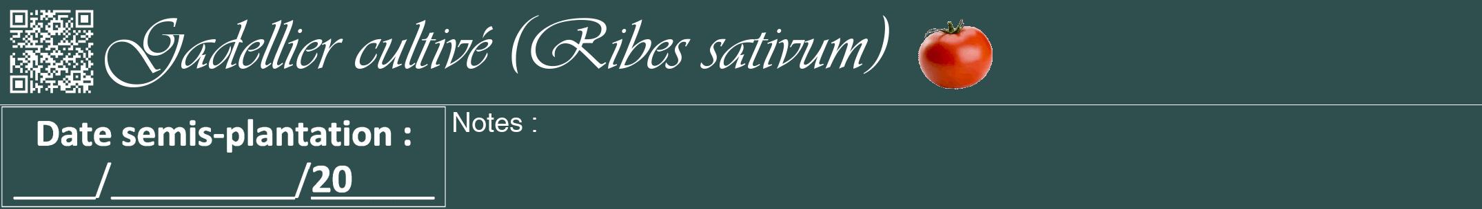 Étiquette de : Ribes sativum - format a - style blanche58viv avec qrcode et comestibilité simplifiée