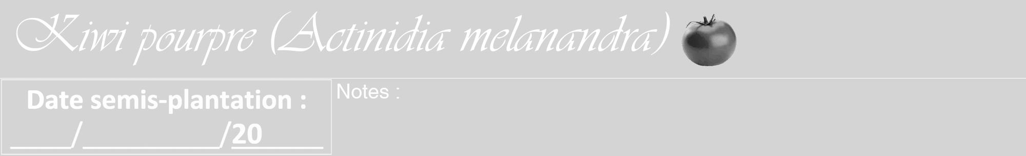 Étiquette de : Actinidia melanandra - format a - style blanche40viv avec comestibilité simplifiée