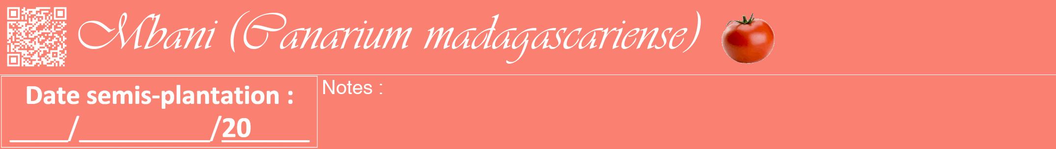 Étiquette de : Canarium madagascariense - format a - style blanche38viv avec qrcode et comestibilité simplifiée