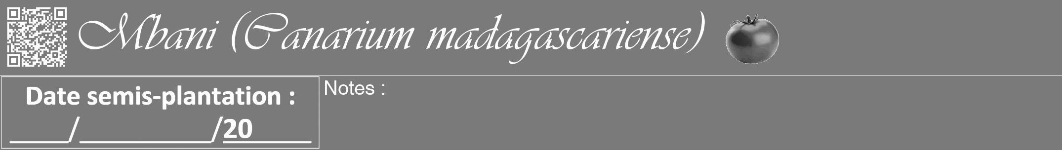 Étiquette de : Canarium madagascariense - format a - style blanche3viv avec qrcode et comestibilité simplifiée