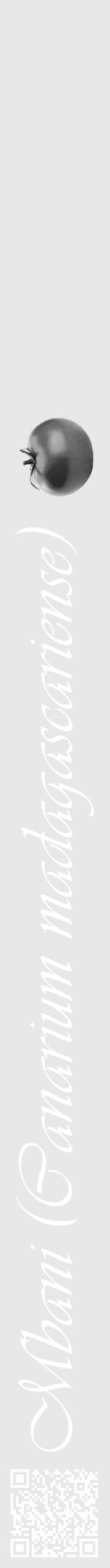 Étiquette de : Canarium madagascariense - format a - style blanche55viv avec qrcode et comestibilité simplifiée - position verticale