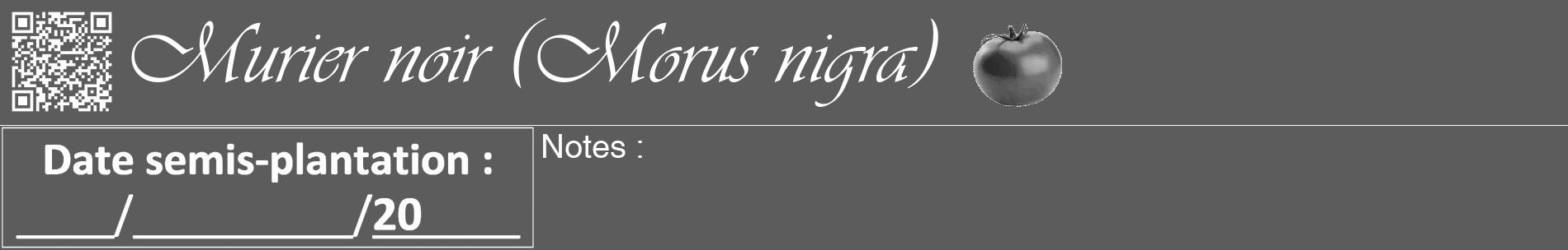 Étiquette de : Morus nigra - format a - style blanche49basiqueviv avec qrcode et comestibilité simplifiée
