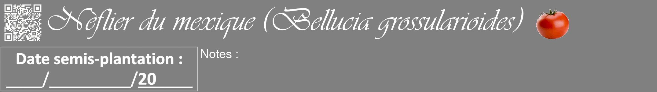 Étiquette de : Bellucia grossularioides - format a - style blanche57viv avec qrcode et comestibilité simplifiée