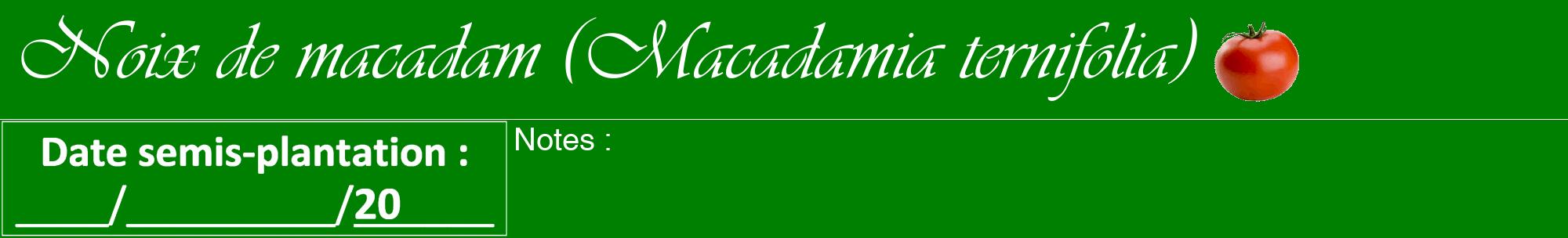 Étiquette de : Macadamia ternifolia - format a - style blanche9viv avec comestibilité simplifiée