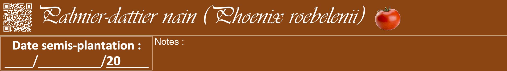 Étiquette de : Phoenix roebelenii - format a - style blanche30viv avec qrcode et comestibilité simplifiée