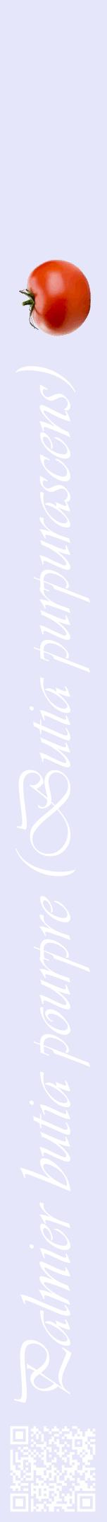 Étiquette de : Butia purpurascens - format a - style blanche55viv avec qrcode et comestibilité simplifiée