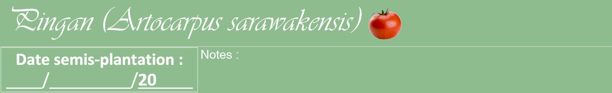 Étiquette de : Artocarpus sarawakensis - format a - style blanche13viv avec comestibilité simplifiée