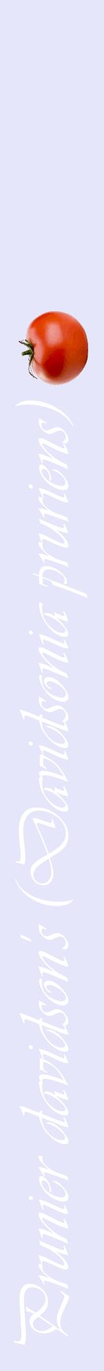 Étiquette de : Davidsonia pruriens - format a - style blanche55viv avec comestibilité simplifiée