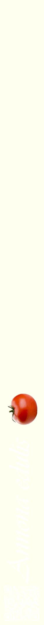 Étiquette de : Annona edulis - format a - style blanche19viv avec qrcode et comestibilité simplifiée