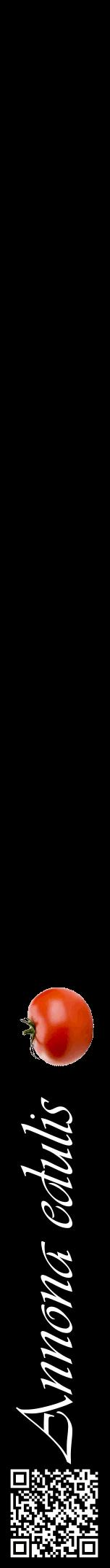 Étiquette de : Annona edulis - format a - style blanche59viv avec qrcode et comestibilité simplifiée