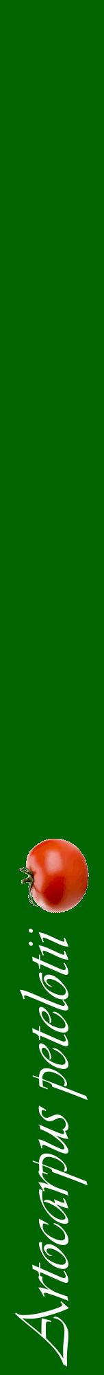Étiquette de : Artocarpus petelotii - format a - style blanche8viv avec comestibilité simplifiée