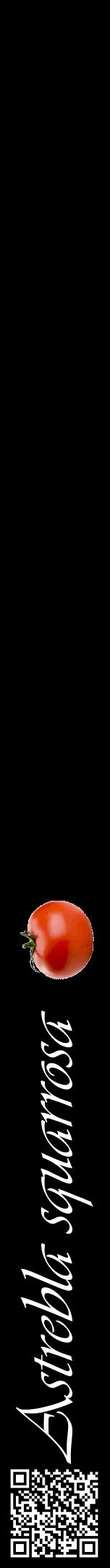 Étiquette de : Astrebla squarrosa - format a - style blanche59viv avec qrcode et comestibilité simplifiée