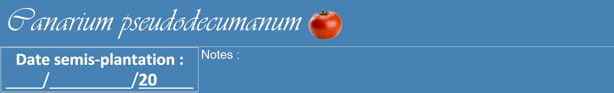 Étiquette de : Canarium pseudodecumanum - format a - style blanche5viv avec comestibilité simplifiée