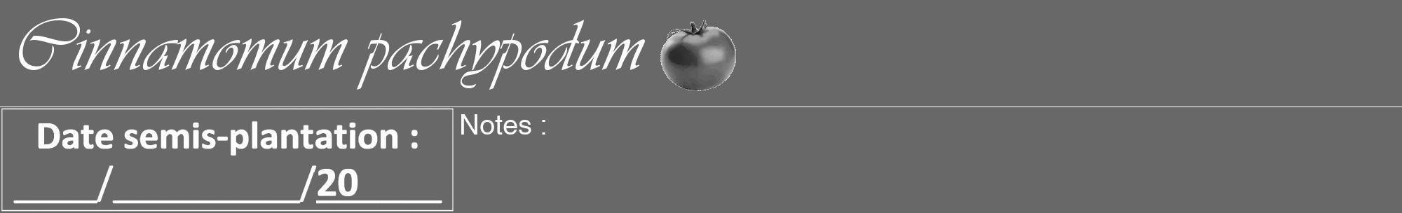 Étiquette de : Cinnamomum pachypodum - format a - style blanche43viv avec comestibilité simplifiée