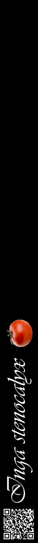 Étiquette de : Inga stenocalyx - format a - style blanche59viv avec qrcode et comestibilité simplifiée
