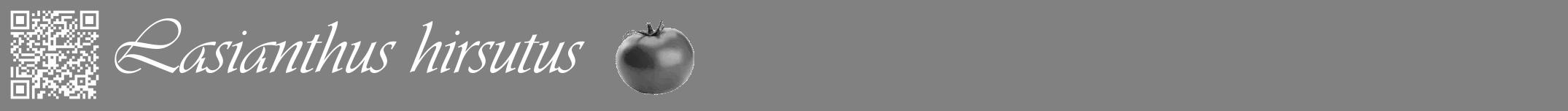 Étiquette de : Lasianthus hirsutus - format a - style blanche50viv avec qrcode et comestibilité simplifiée