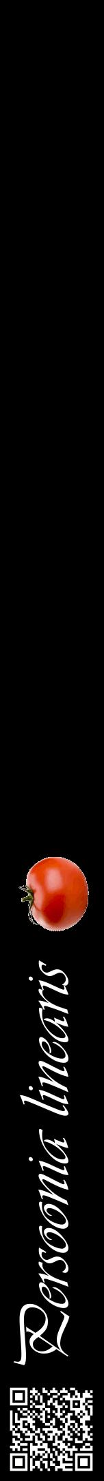 Étiquette de : Persoonia linearis - format a - style blanche59viv avec qrcode et comestibilité simplifiée