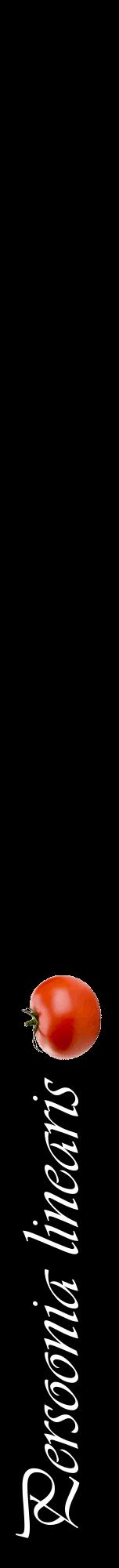 Étiquette de : Persoonia linearis - format a - style blanche59viv avec comestibilité simplifiée
