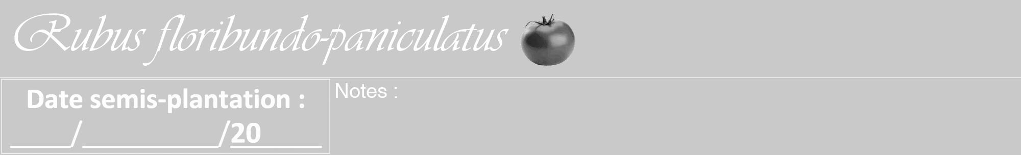 Étiquette de : Rubus floribundo-paniculatus - format a - style blanche54viv avec comestibilité simplifiée