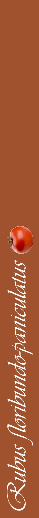Étiquette de : Rubus floribundo-paniculatus - format a - style blanche32viv avec comestibilité simplifiée
