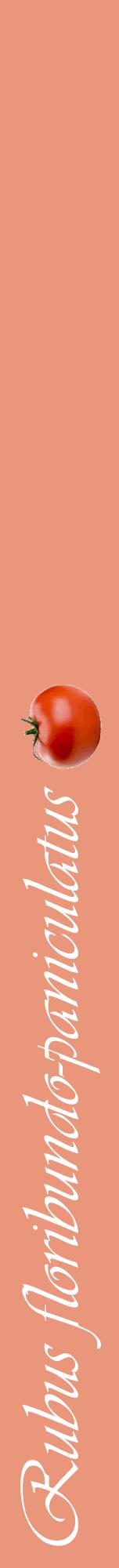 Étiquette de : Rubus floribundo-paniculatus - format a - style blanche37viv avec comestibilité simplifiée