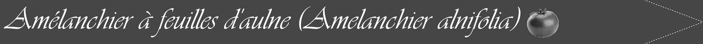 Étiquette de : Amelanchier alnifolia - format b - style blanche58viv avec comestibilité simplifiée