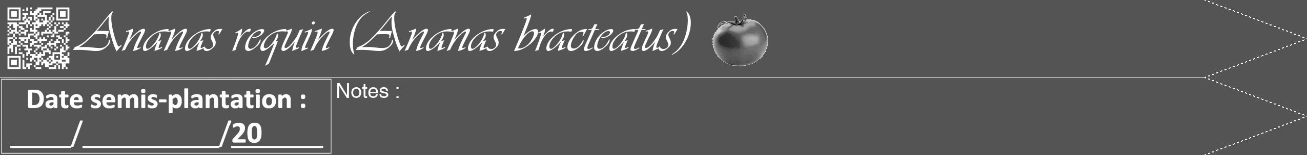 Étiquette de : Ananas bracteatus - format b - style blanche36simpleviv avec qrcode et comestibilité simplifiée