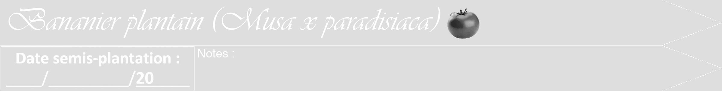 Étiquette de : Musa x paradisiaca - format b - style blanche20viv avec comestibilité simplifiée