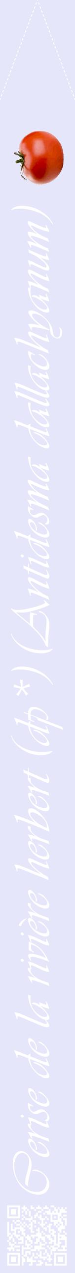 Étiquette de : Antidesma dallachyanum - format b - style blanche55viv avec qrcode et comestibilité simplifiée
