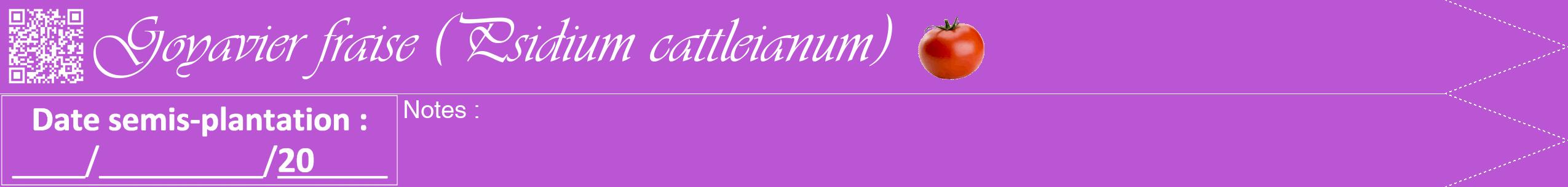 Étiquette de : Psidium cattleianum - format b - style blanche50simpleviv avec qrcode et comestibilité simplifiée