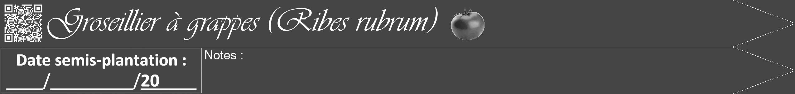 Étiquette de : Ribes rubrum - format b - style blanche58viv avec qrcode et comestibilité simplifiée