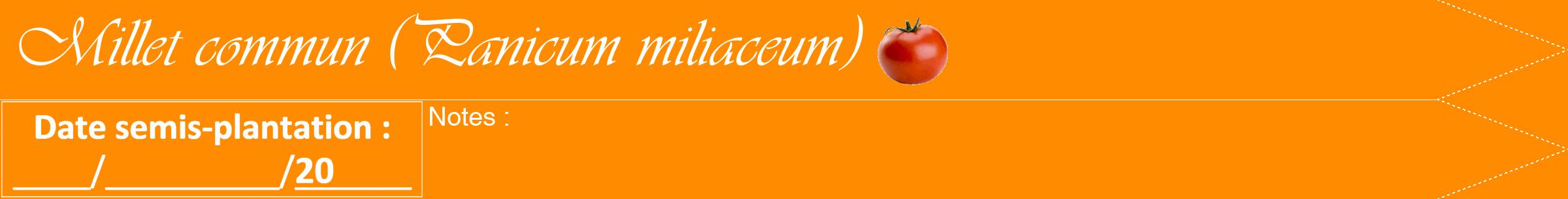 Étiquette de : Panicum miliaceum - format b - style blanche23viv avec comestibilité simplifiée